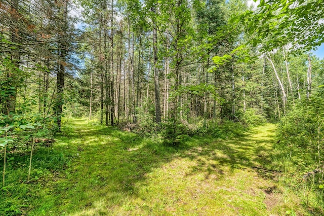 46441 255th Ave, Helga Twp, MN 56461 - photo 88