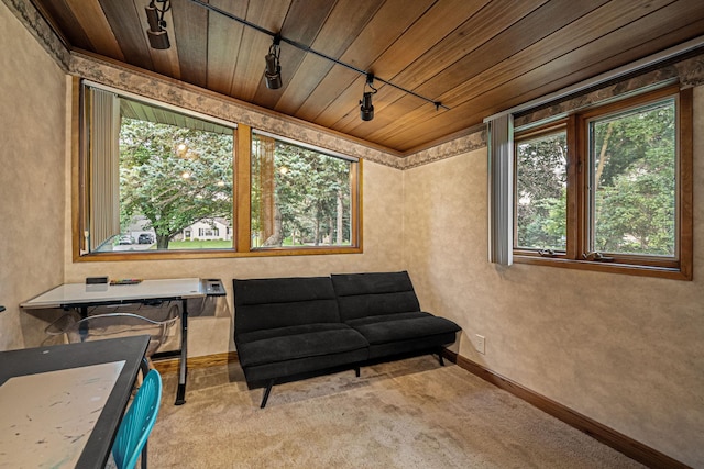 600 20th St SW, Austin, MN 55912 - photo 18