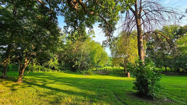 3356 Viking Blvd NE, Wyoming, MN 55092 - photo 26