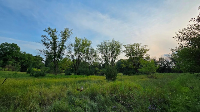 3356 Viking Blvd NE, Wyoming, MN 55092 - photo 36