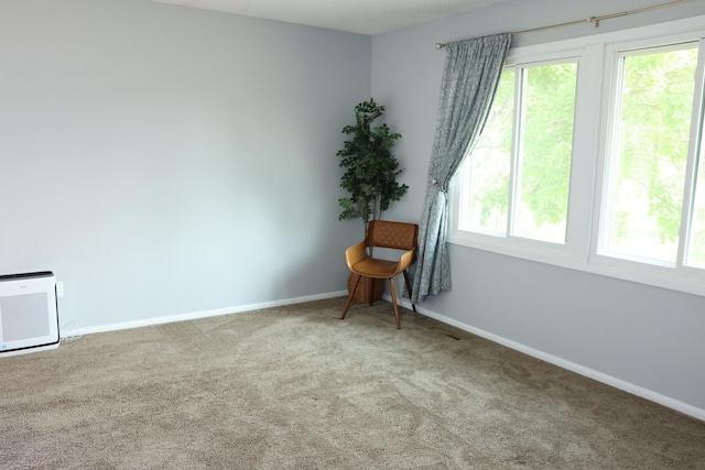 8442 Toledo Ave N, Brooklyn Park, MN 55443 - photo 8