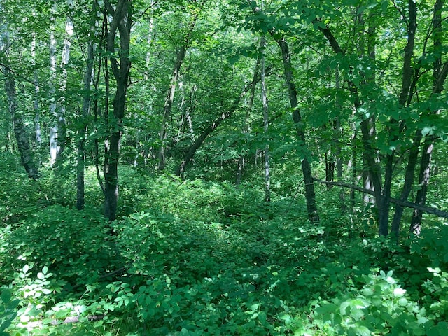000 280th St S, Parke Twp, MN 56549 - photo 4