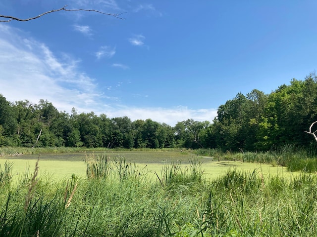 000 280th St S, Parke Twp, MN 56549 - photo 8
