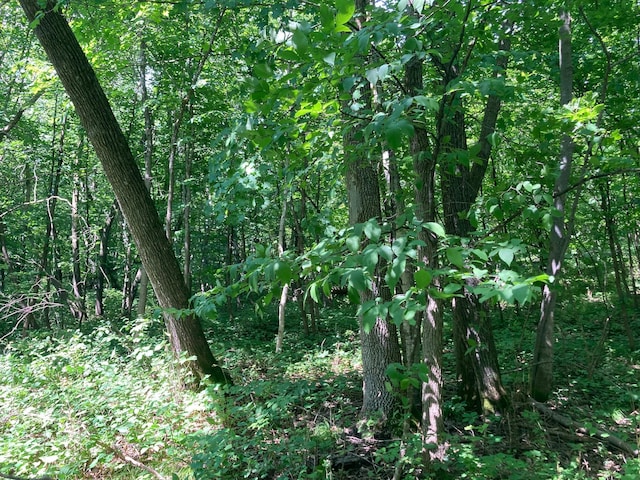 000 280th St S, Parke Twp, MN 56549 - photo 9