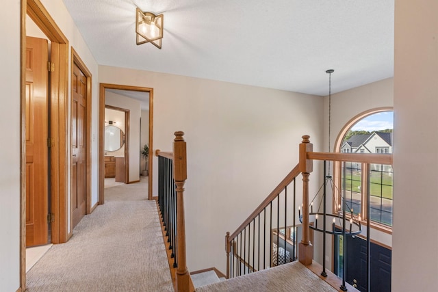14315 47th Ave N, Plymouth, MN 55446 - photo 22