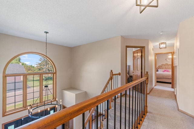 14315 47th Ave N, Plymouth, MN 55446 - photo 23