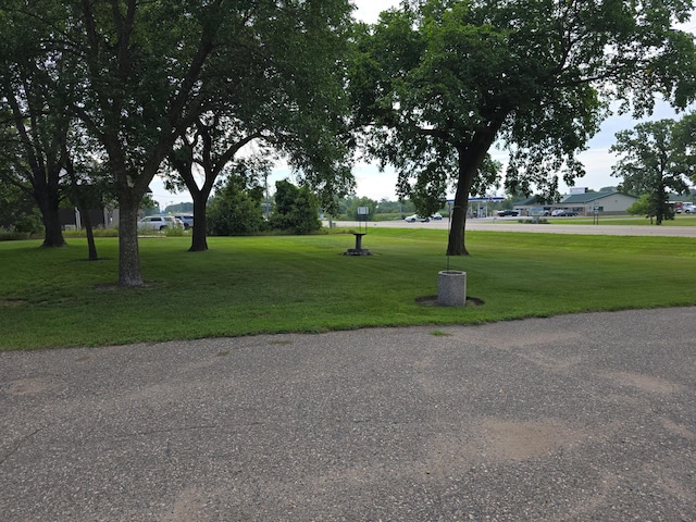24942 County Highway 6, Lake View Twp, MN 56501 - photo 4
