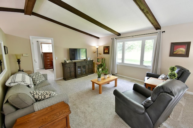 659 Lake Brophy Rd NW, Alexandria, MN 56308 - photo 3