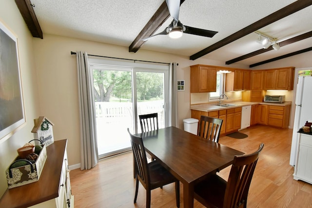 659 Lake Brophy Rd NW, Alexandria, MN 56308 - photo 7