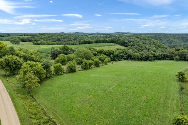 32653 Stinson Ridge Rd, Wiscoy Twp, MN 55943 - photo 35