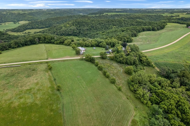 32653 Stinson Ridge Rd, Wiscoy Twp, MN 55943 - photo 36