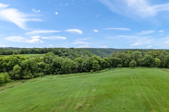 32653 Stinson Ridge Rd, Wiscoy Twp, MN 55943 - photo 39