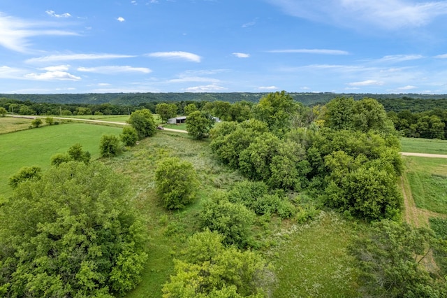 32653 Stinson Ridge Rd, Wiscoy Twp, MN 55943 - photo 41
