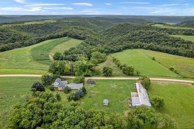 32653 Stinson Ridge Rd, Wiscoy Twp, MN 55943 - photo 44