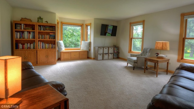 1366 Winona Rd SW, Alexandria, MN 56308 - photo 21