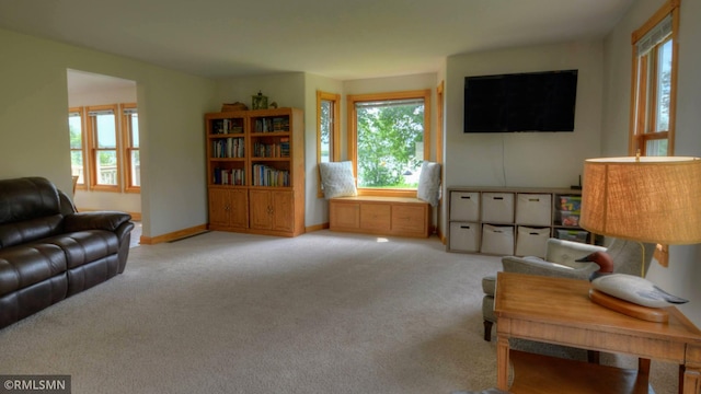 1366 Winona Rd SW, Alexandria, MN 56308 - photo 22