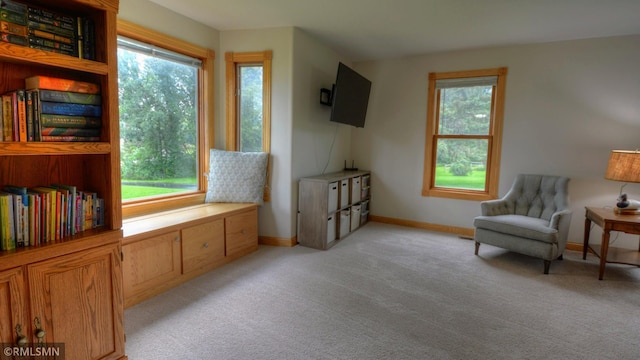 1366 Winona Rd SW, Alexandria, MN 56308 - photo 23