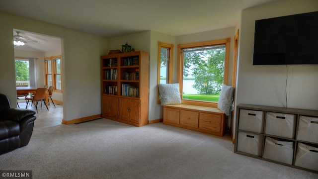 1366 Winona Rd SW, Alexandria, MN 56308 - photo 24