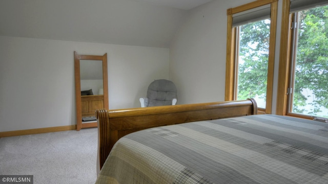 1366 Winona Rd SW, Alexandria, MN 56308 - photo 37