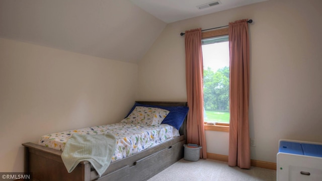 1366 Winona Rd SW, Alexandria, MN 56308 - photo 41