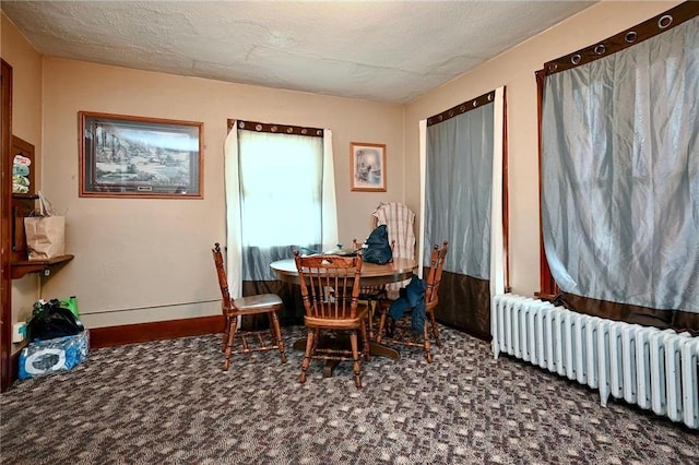 20 11th Ave NE, Rochester, MN 55906 - photo 20