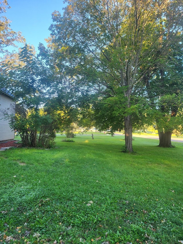 319 2nd St N, Sauk Centre, MN 56378 - photo 20
