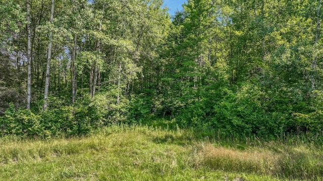 W3828 Walrath Rd, Lawrence Twp, WI 54526 - photo 25