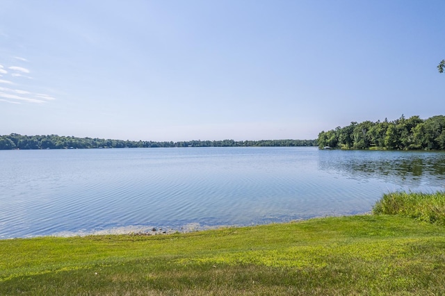 23519 Foxview Ln, Lake View Twp, MN 56501 - photo 3