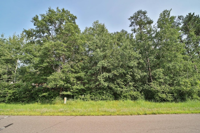 TDB Paper Birch Dr, Baxter, MN 56425 - photo 1