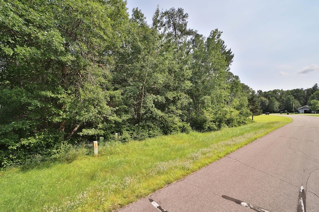 TDB Paper Birch Dr, Baxter, MN 56425 - photo 2