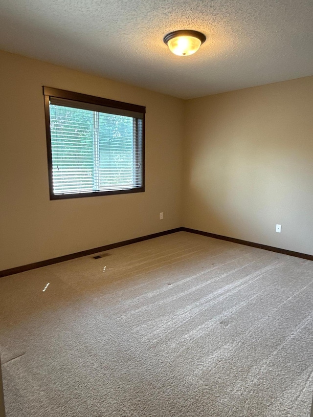 20345 June Grass Dr, Big Lake, MN 55309 - photo 13