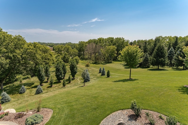 3247 Scanlan Ln NE, Rochester, MN 55906 - photo 69