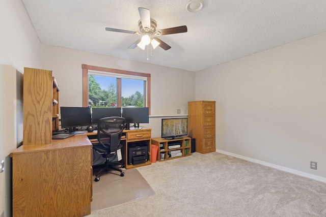 32023 Fern Trl, Stacy, MN 55079 - photo 28