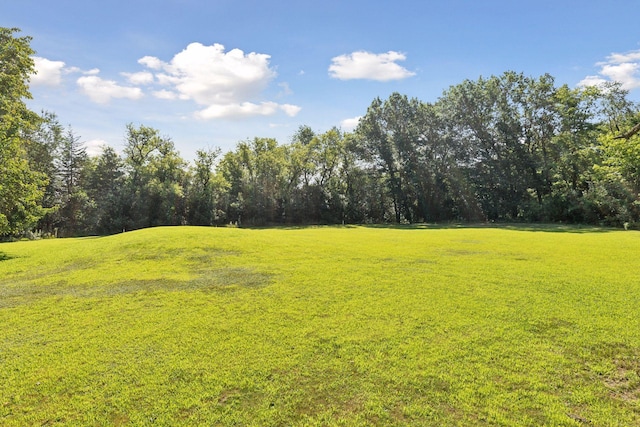 32023 Fern Trl, Stacy, MN 55079 - photo 40