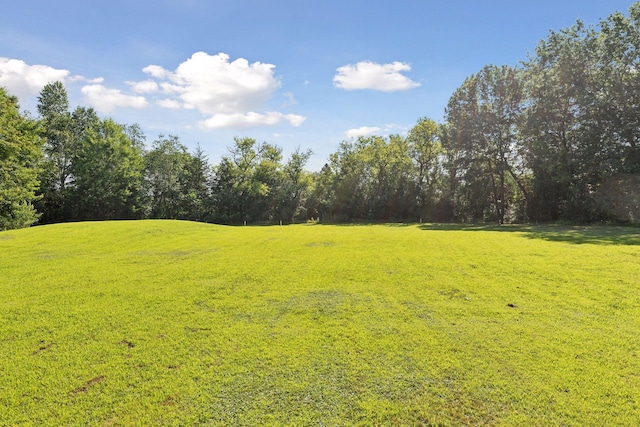 32023 Fern Trl, Stacy, MN 55079 - photo 41