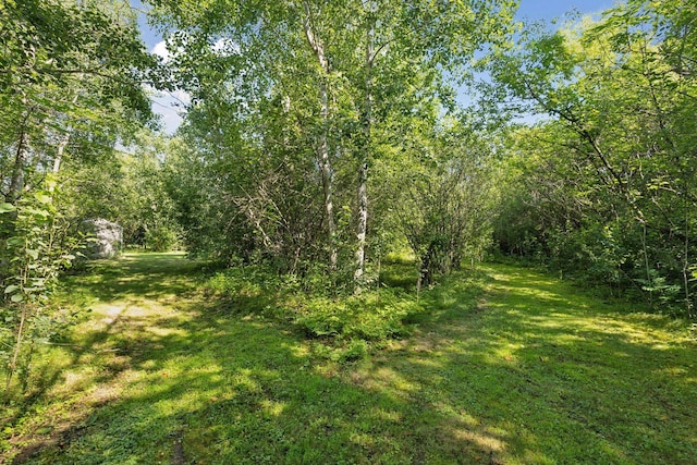 32023 Fern Trl, Stacy, MN 55079 - photo 44