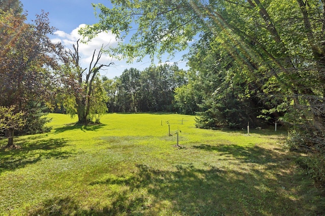 32023 Fern Trl, Stacy, MN 55079 - photo 45