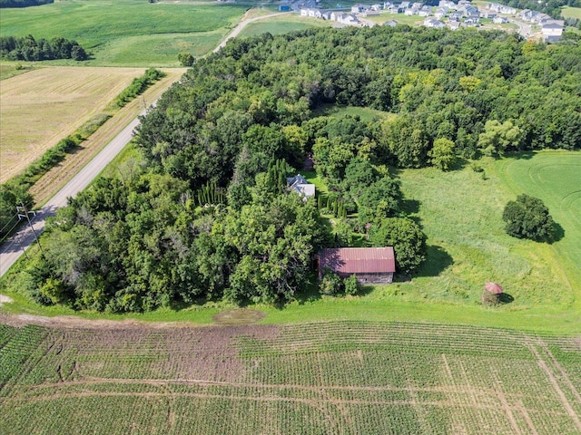 868X Darrow Ave SE, Delano, MN 55328 - photo 2