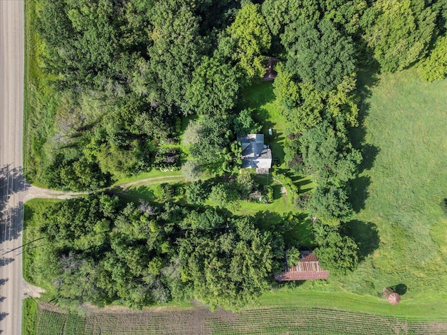 868X Darrow Ave SE, Delano, MN 55328 - photo 8