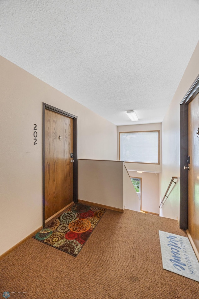1310 Long Ave Unit 202, Detroit Lakes, MN 56501 - photo 4