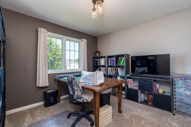 129 Lynx Ln, Mankato, MN 56001 - photo 21
