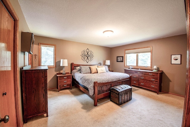 725 Packer Dr, Hudson, WI 54016 - photo 16