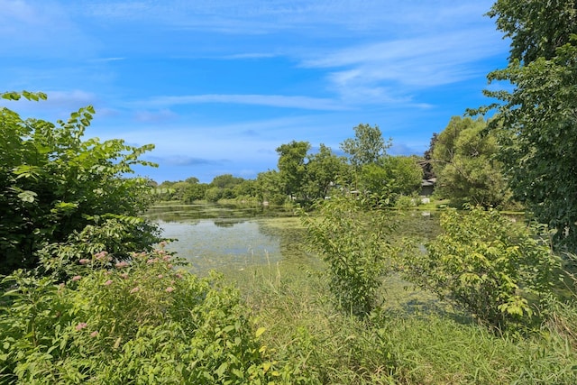 2469 Dunlap St N, Roseville, MN 55113 - photo 37