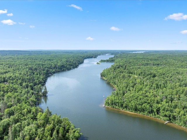 LOT14 Sunset Hill Rd NE, Outing, MN 56662 - photo 3
