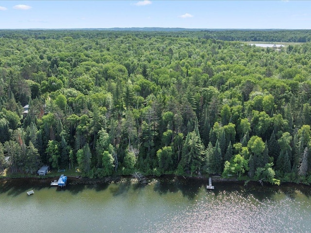 LOT14 Sunset Hill Rd NE, Outing, MN 56662 - photo 6