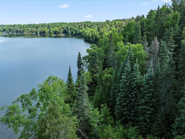 LOT17 Sunset Hill Rd NE, Outing, MN 56662 - photo 3