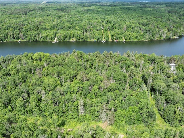 LOT17 Sunset Hill Rd NE, Outing, MN 56662 - photo 9