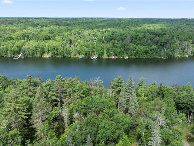 LOT17 Sunset Hill Rd NE, Outing, MN 56662 - photo 11