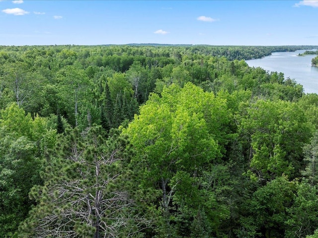 LOT17 Sunset Hill Rd NE, Outing, MN 56662 - photo 12