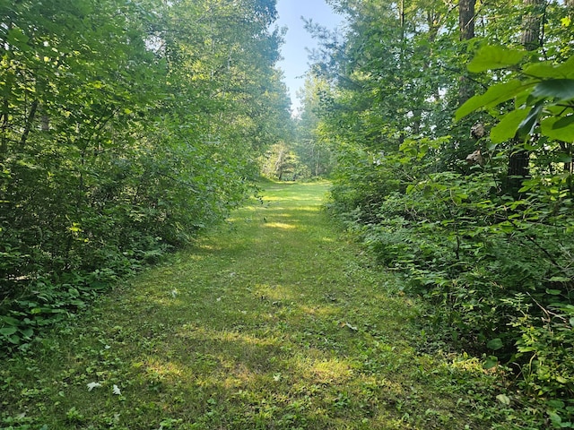 TBDLOT2 Bunny Ln, Crosby, MN 56441 - photo 3